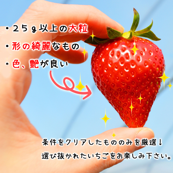 いちご25g