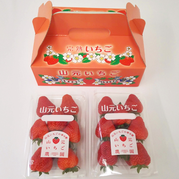 いちご 完熟 宮城 山元いちご農園 ２品種食べ比べセット 250g×2パック もういっこ にこにこベリー とちおとめ｜yamamoto-ichigo15｜02