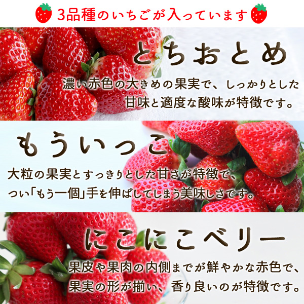 3品種のいちご