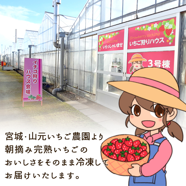 山元いちご農園よりお届け