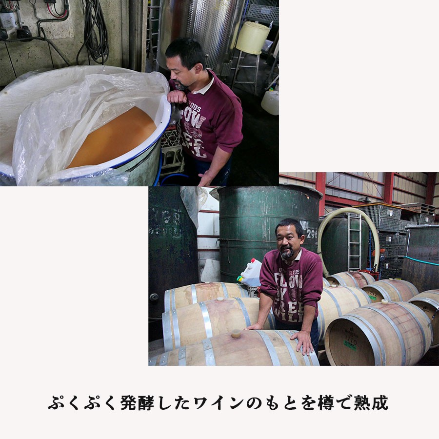 赤ワイン 国産 辛口 樽熟成 生 限定品 あきあかね 720ml