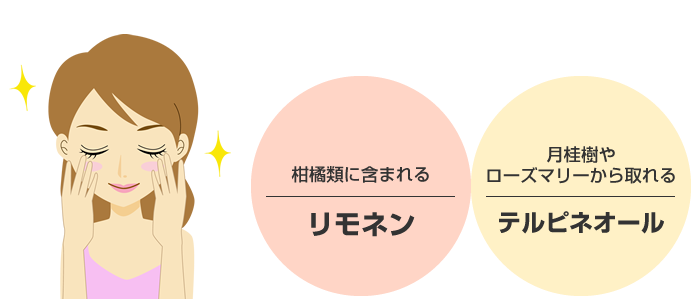 クロモジ葉茶