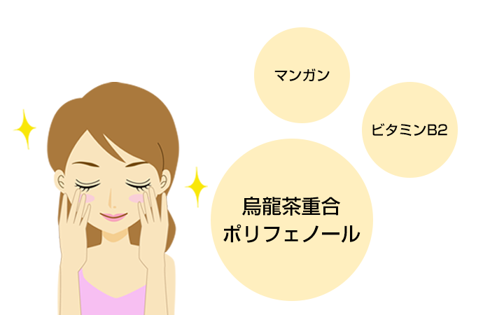 純国産黒烏龍茶
