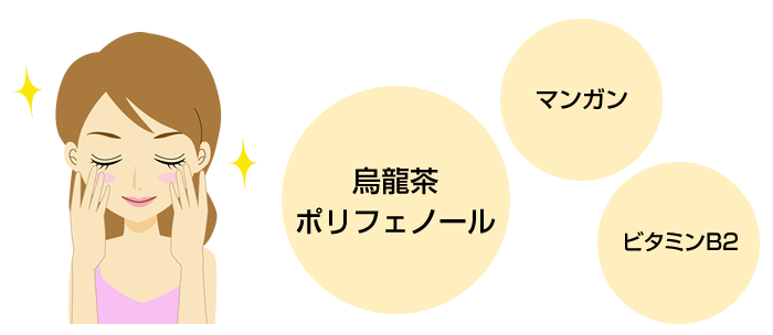 国産ウーロン茶ティーパック