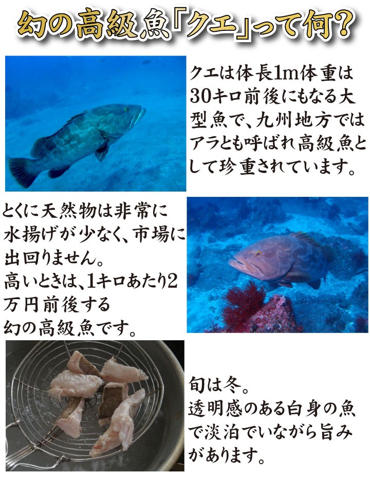 天然クエ鍋450ｇ、こだわりの商品詳細−とらふぐ刺身