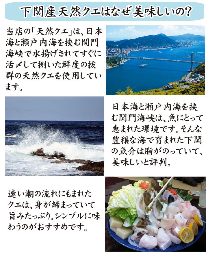 天然クエ鍋450ｇ、調理方法