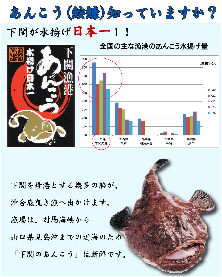 あんこうってなに？