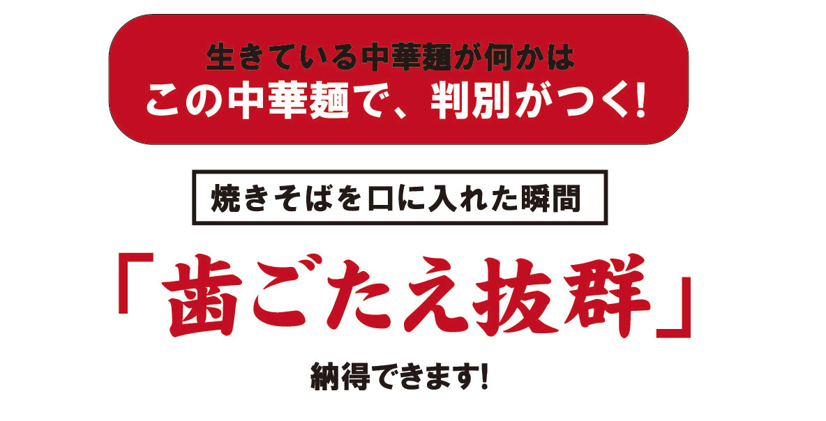 とらふぐ刺身・真ふぐ鍋・ご飯セット2-3人前、真ふぐ鍋こだわり