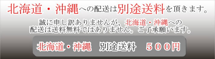 北海道・沖縄は別途送料