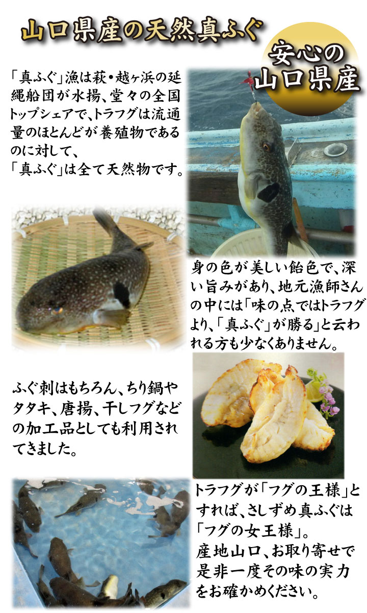 とらふぐ刺身・真ふぐ鍋・ご飯セット2-3人前、とらふぐ刺身サムネイル