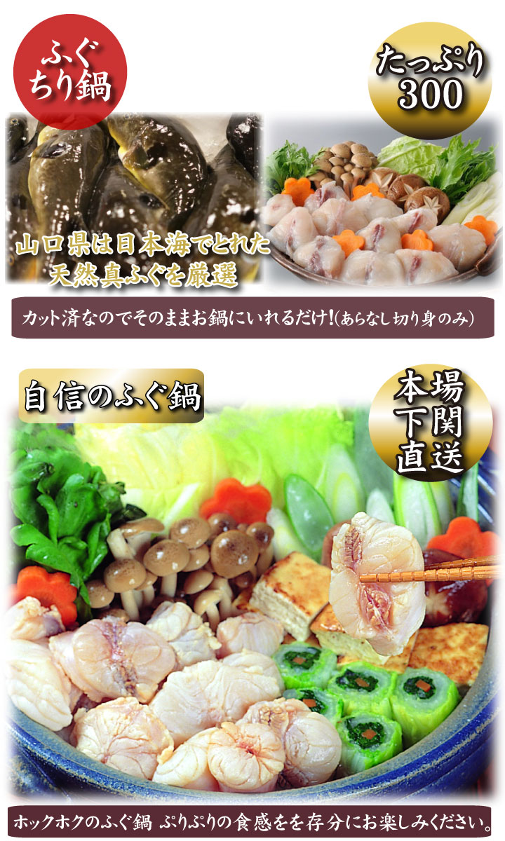 とらふぐ刺身・真ふぐ鍋・ご飯セット2-3人前、とらふぐ刺身こだわり