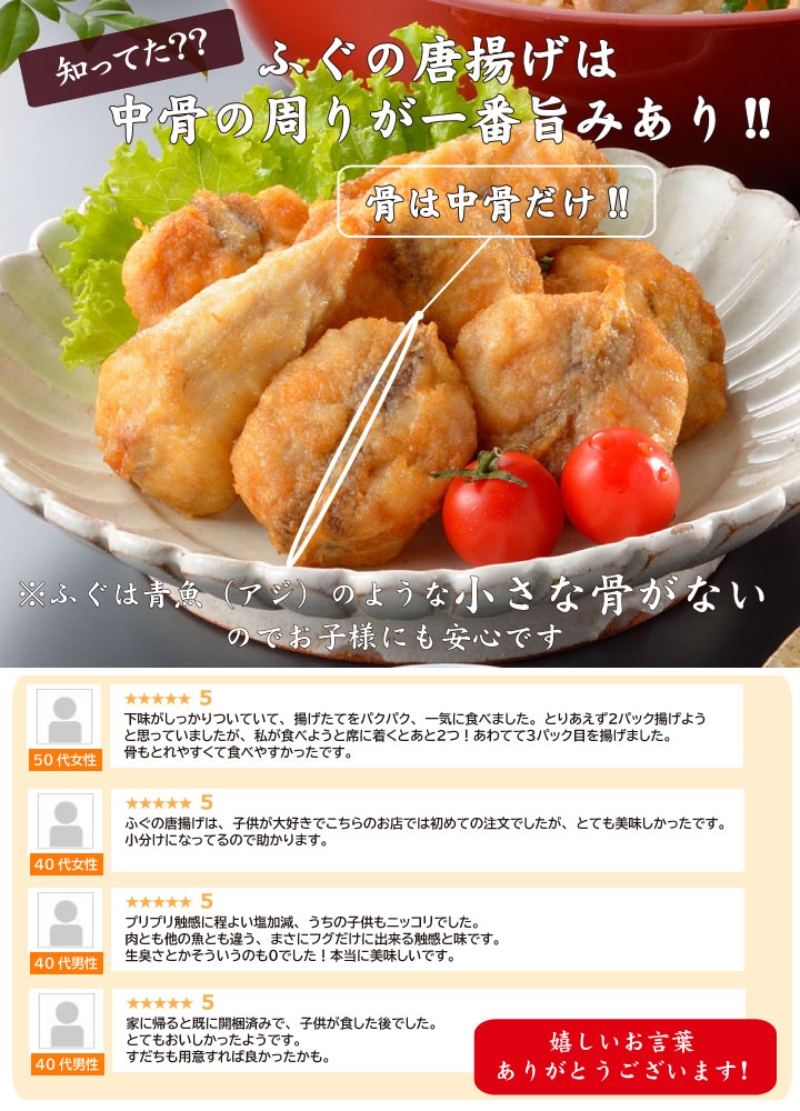 とらふぐ刺身・真ふぐ鍋・ご飯セット2-3人前、とらふぐ刺身こだわり