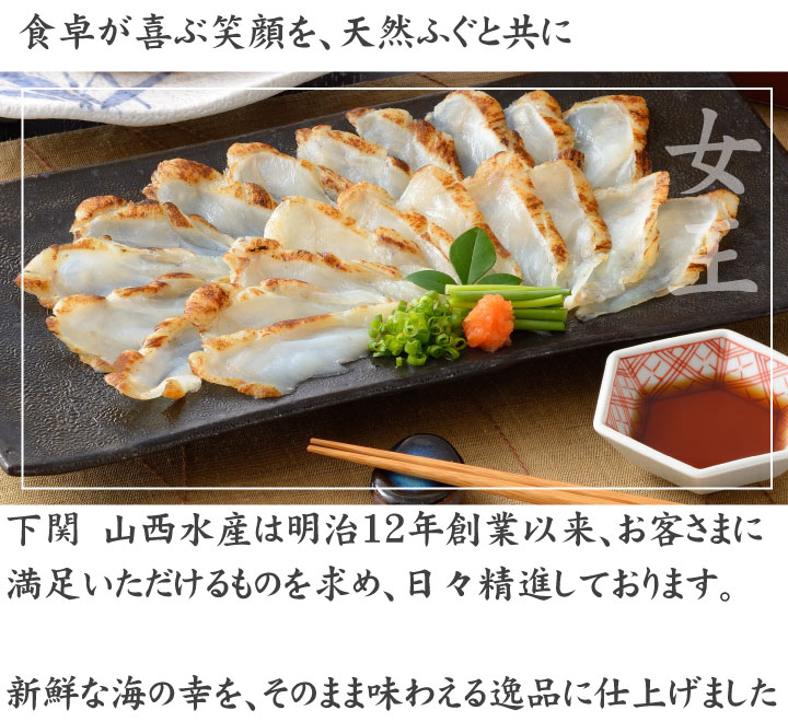とらふぐ刺身・真ふぐ鍋・ご飯セット2-3人前、真ふぐ鍋こだわり