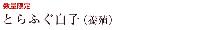 とらふぐ白子テキスト