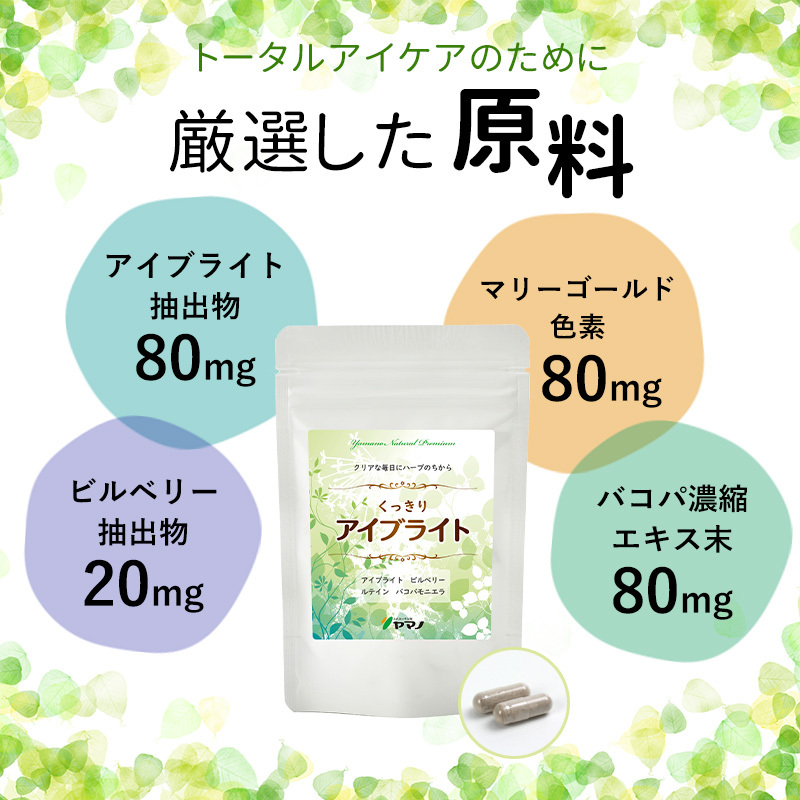 バコパエキスカプセル 500mg×60カプセル 約60日分 【信頼】