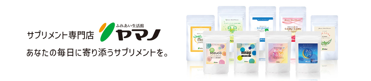 ふれあい生活館ヤマノ ヘッダー画像