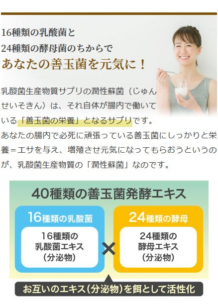 乳酸菌生産物質 サプリメント 潤性蘇菌 1個（1.5g×30本）ヤマノ 送料