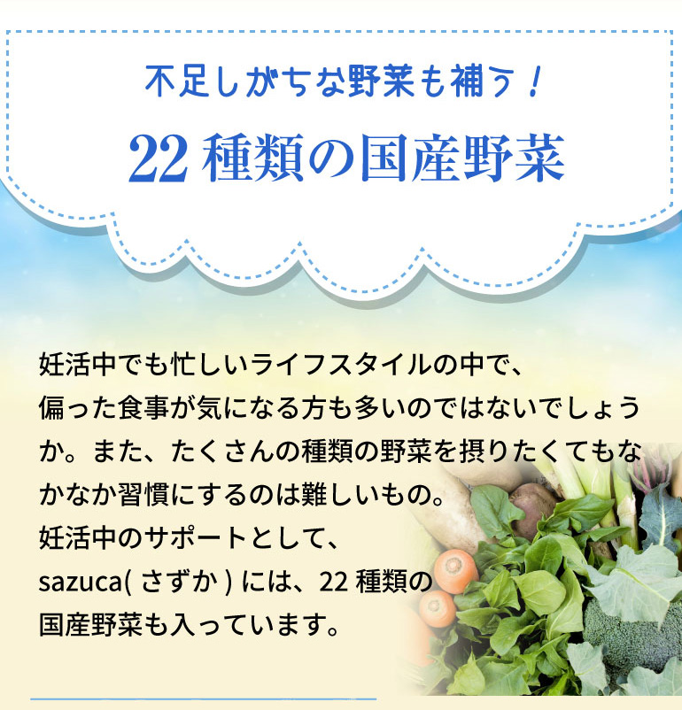 22種類の国産野菜