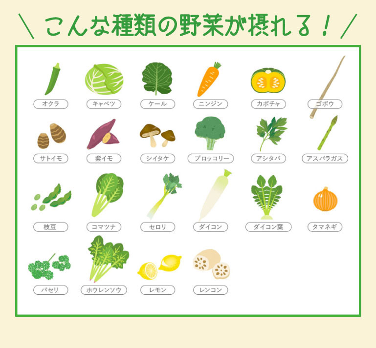 こんな種類の野菜が摂れる！