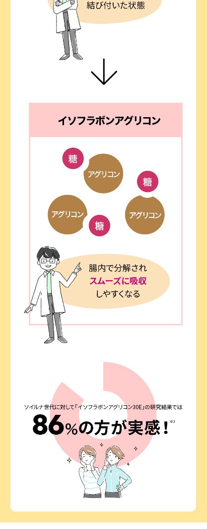 ヤマノ 更年期 サプリ ソイルナ マカ アグリコン型 イソフラボン ケイ素 :3004230:ふれあい生活館ヤマノ 通販  