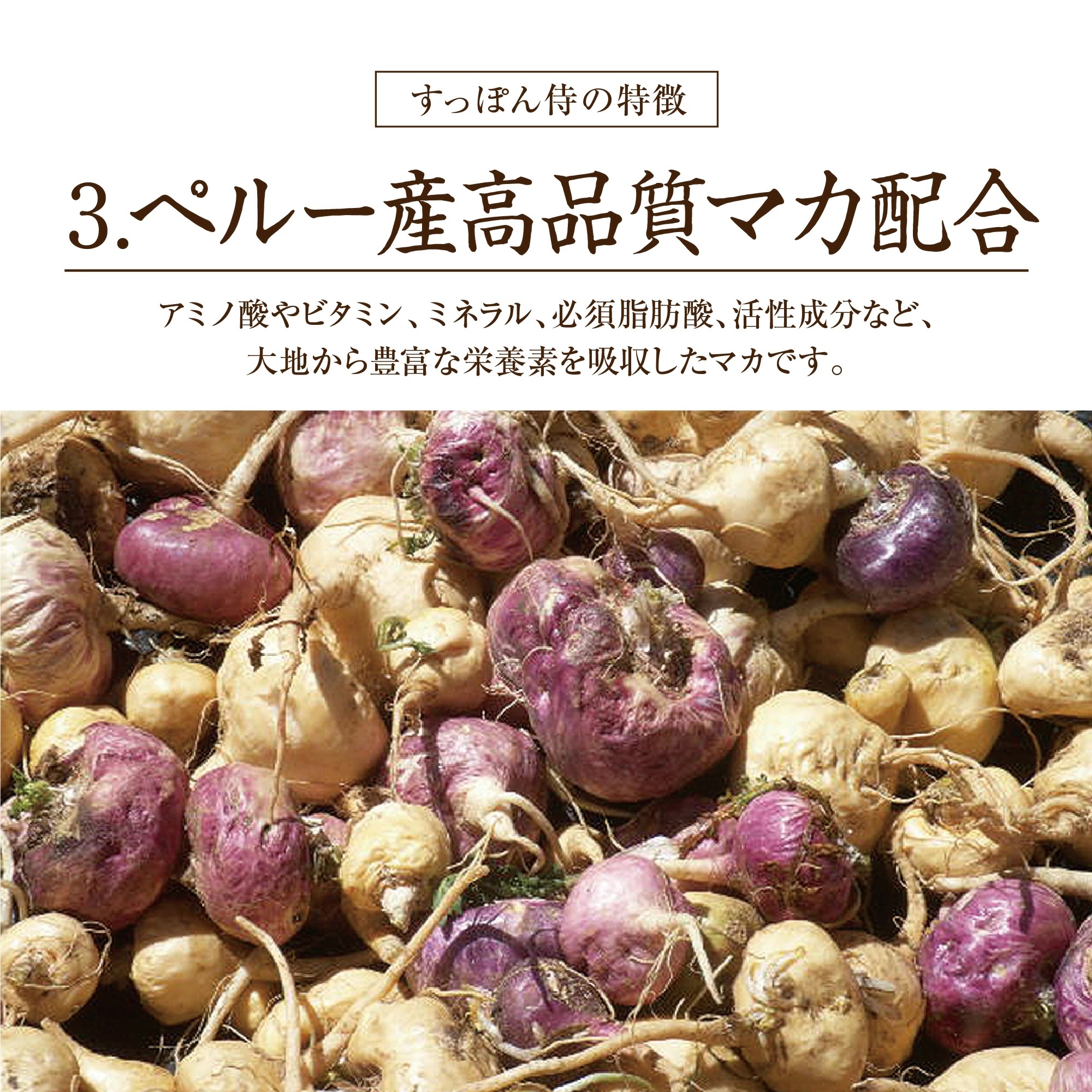 すっぽん サプリ すっぽん侍 1袋62粒入り約1か月分 サプリメント 男性