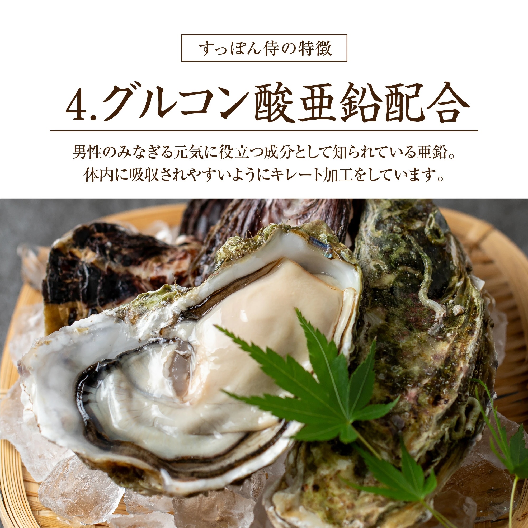 すっぽん サプリ すっぽん侍 1袋62粒入り約1か月分 サプリメント 男性
