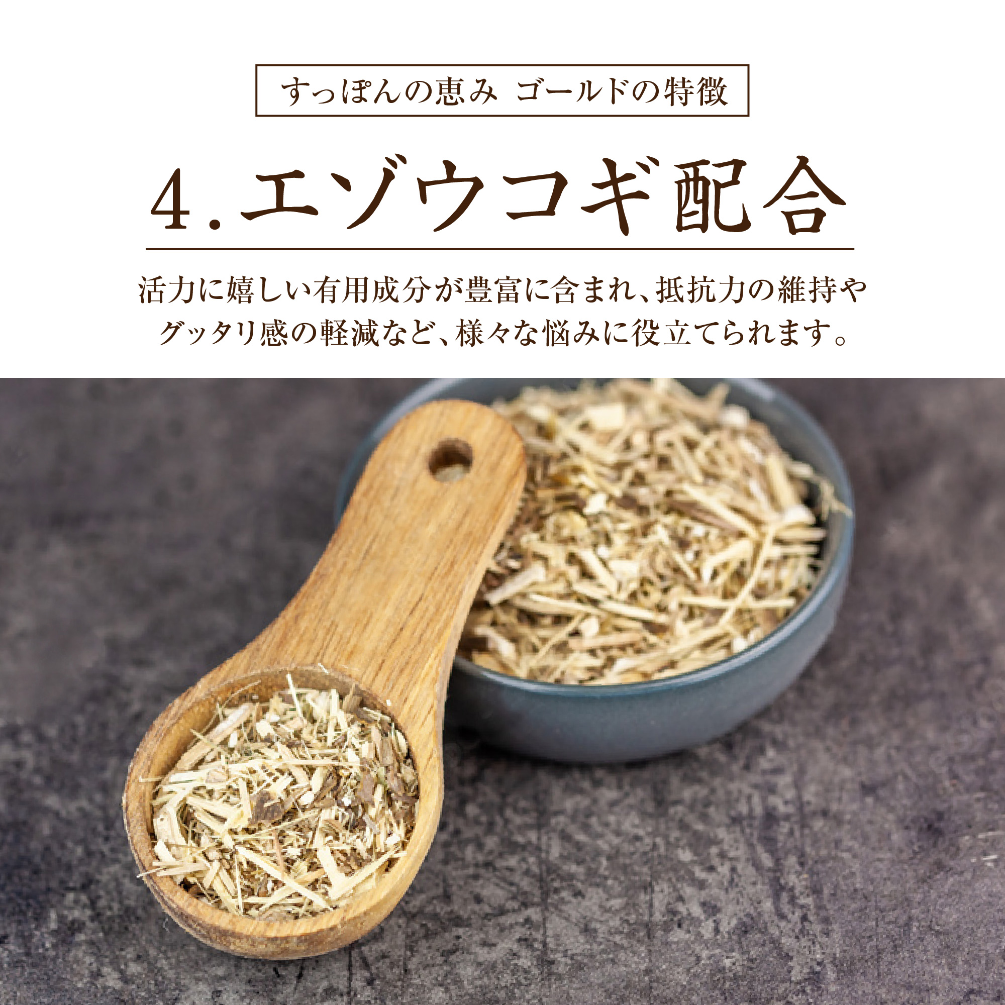 すっぽん サプリ すっぽんの恵みゴールド 1袋93粒入り約1か月分