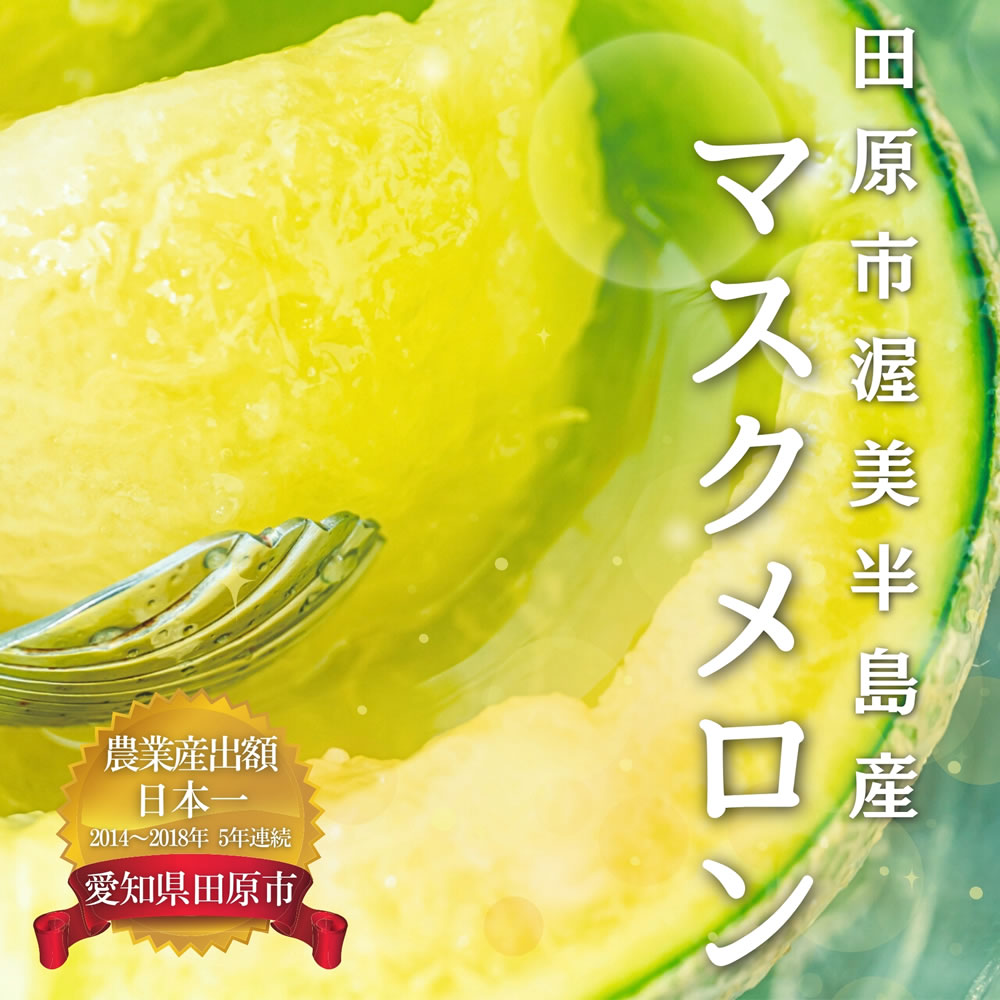 メロン 贈答 お中元 プレゼント 渥美半島 2玉 : ヤマサちくわ - 通販