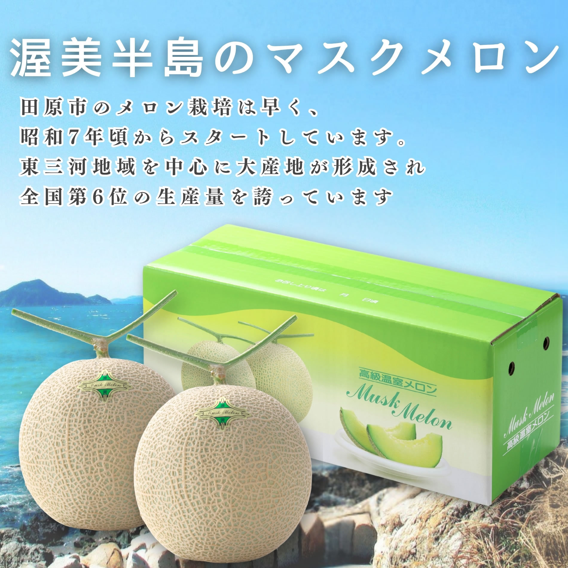 メロン 贈答 お中元 プレゼント 渥美半島 2玉 : ヤマサちくわ - 通販