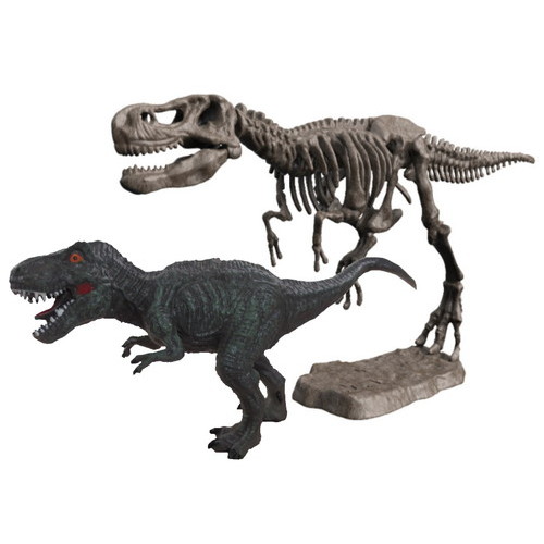 T-REX骨格フルスケルトン組み立てキット 恐竜 発掘恐竜スケルトンキット ティラノサウルス : ヤマサン Yahoo