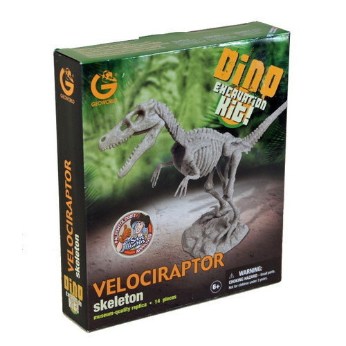 T-REX骨格フルスケルトン組み立てキット 恐竜 T-REX骨格フルスケルトン組み立てキット 恐竜の通販 by Full
