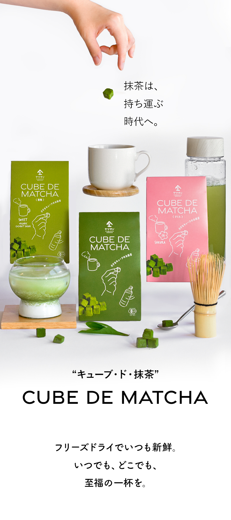 Cube de Matcha （キューブ・ド・抹茶）| 有機抹茶 オーガニック抹茶