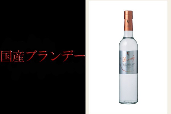 日本産ブランデー 台与(とよ) 46度 500ml 安心院葡萄酒工房 純国内産