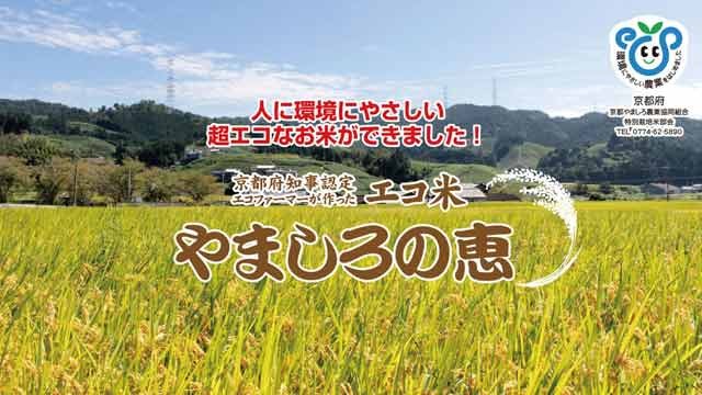 京都やましろ農業協同組合 Yahoo ショッピング