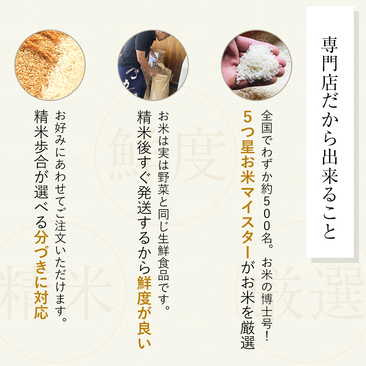 令和6年産 マイスター厳選米】ふじの微笑み にこまる 産地直送