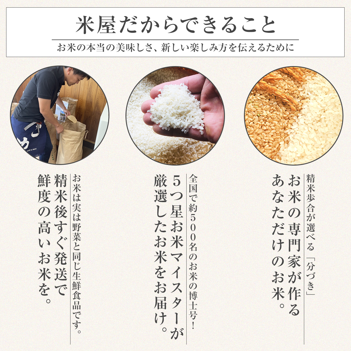【令和7年産】五つ星お米マイスター厳選米 ふじ...の詳細画像2