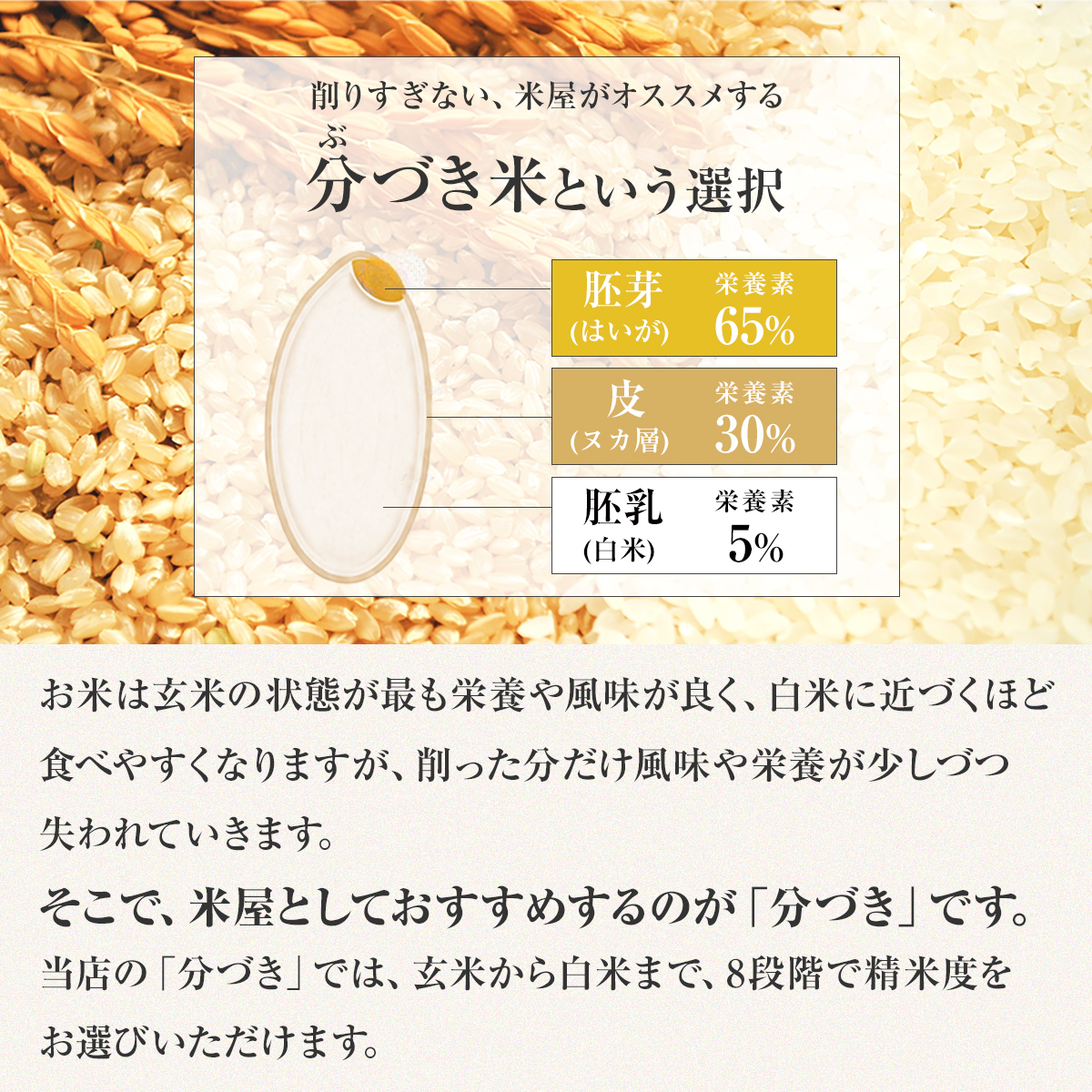 【令和7年産】五つ星お米マイスター厳選米 ふじ...の詳細画像3