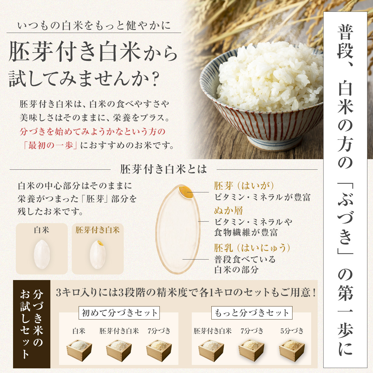 【令和7年産】五つ星お米マイスター厳選米 ふじ...の詳細画像5