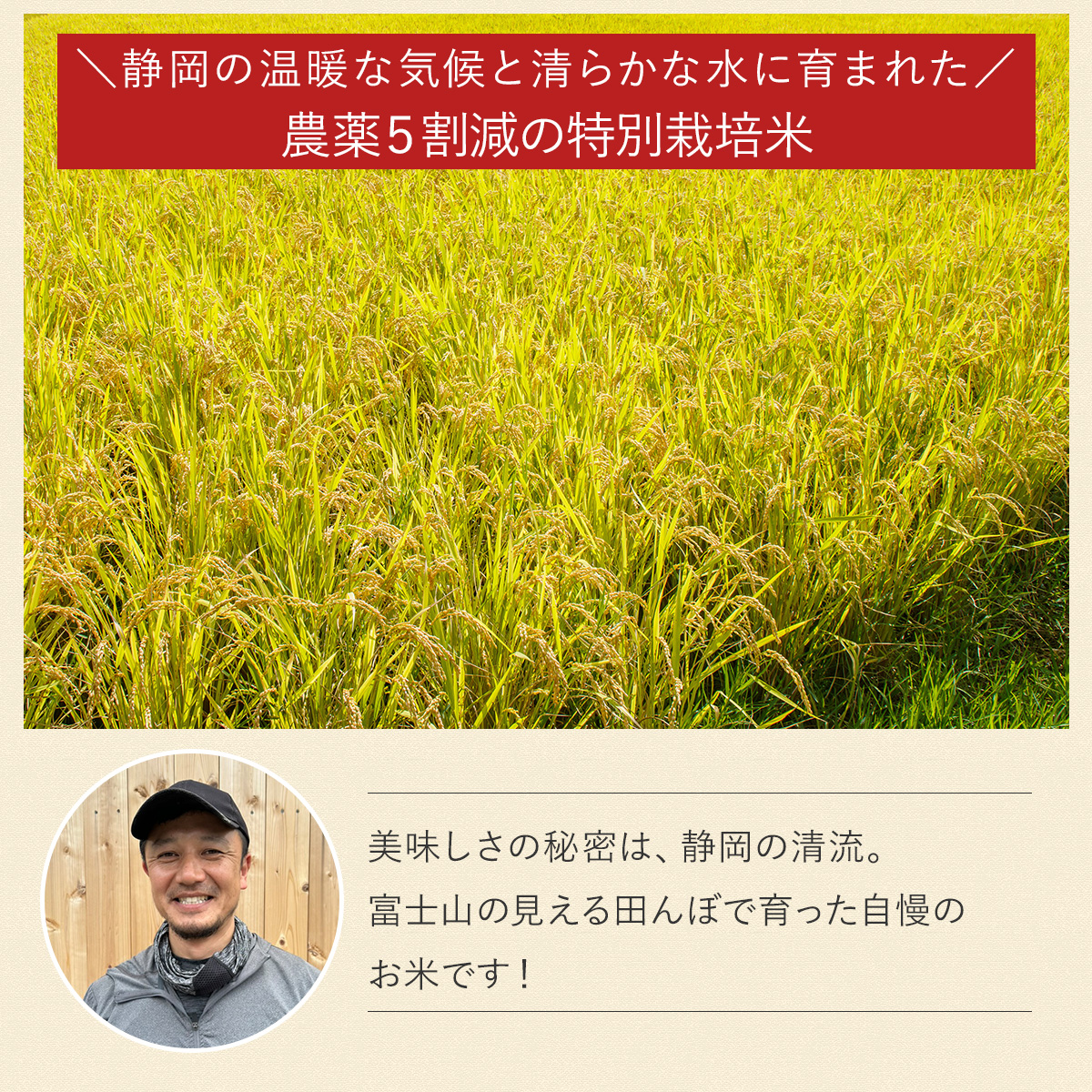 コシヒカリ 【令和7年産】農薬5割減 特別栽培米 静岡県産 産地直送