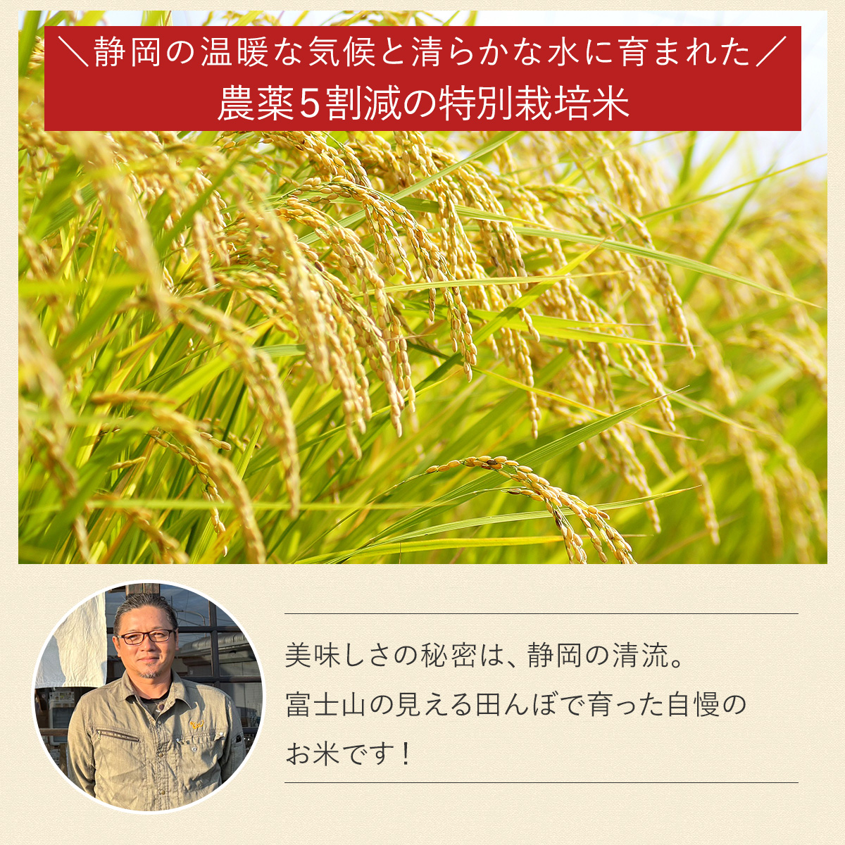 ミルキープリンセス 【令和7年産 新米】農薬5割減 特別栽培米 静岡県産