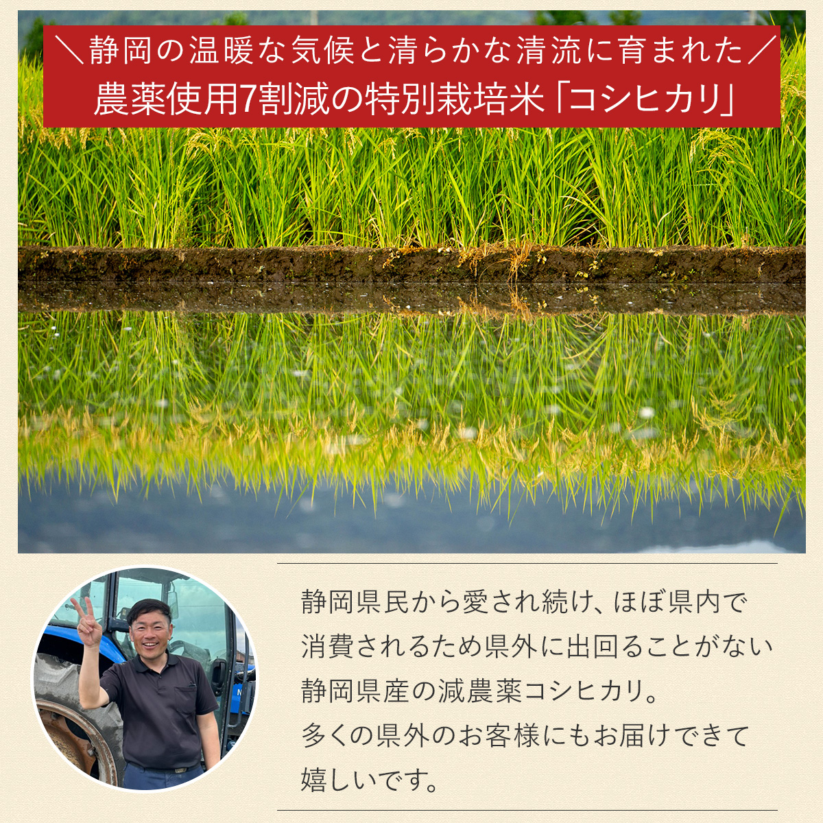 コシヒカリ 【令和7年産】農薬7割減 特別栽培米 静岡県産 産地直送 5kg 