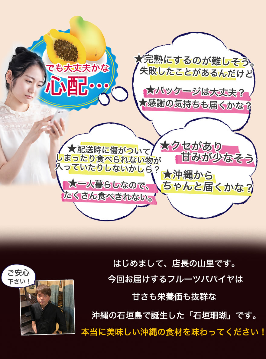 沖縄　フルーツパパイヤ