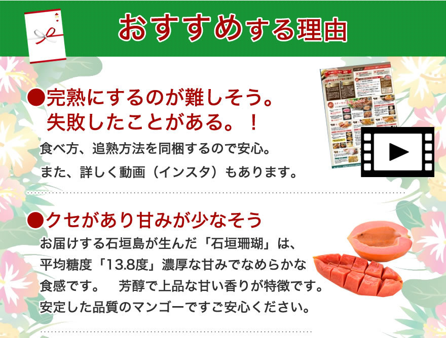 沖縄　フルーツパパイヤ