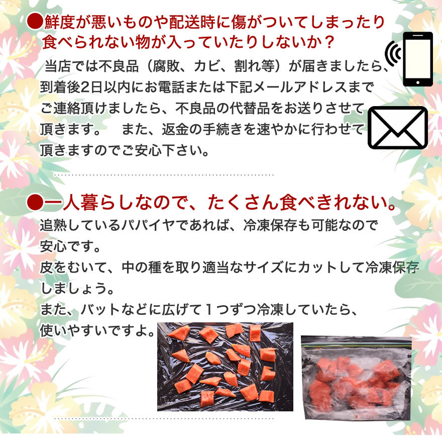 沖縄　フルーツパパイヤ