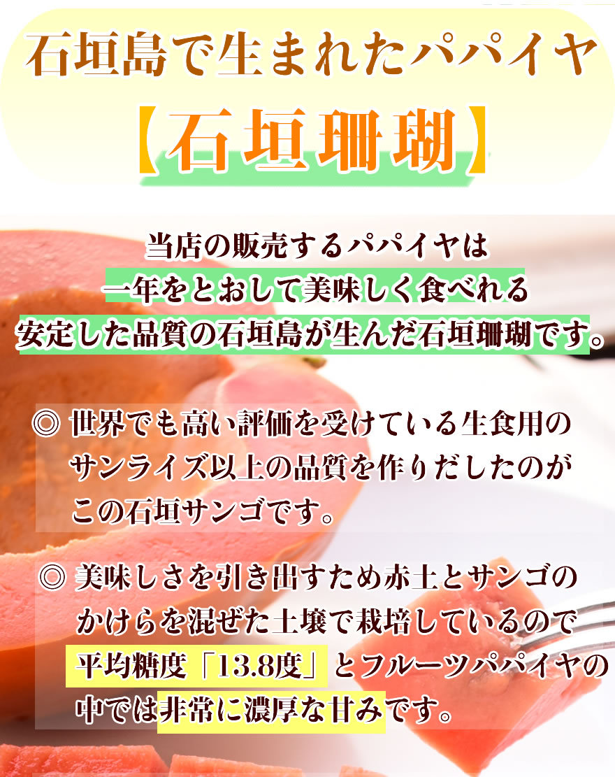 沖縄　フルーツパパイヤ