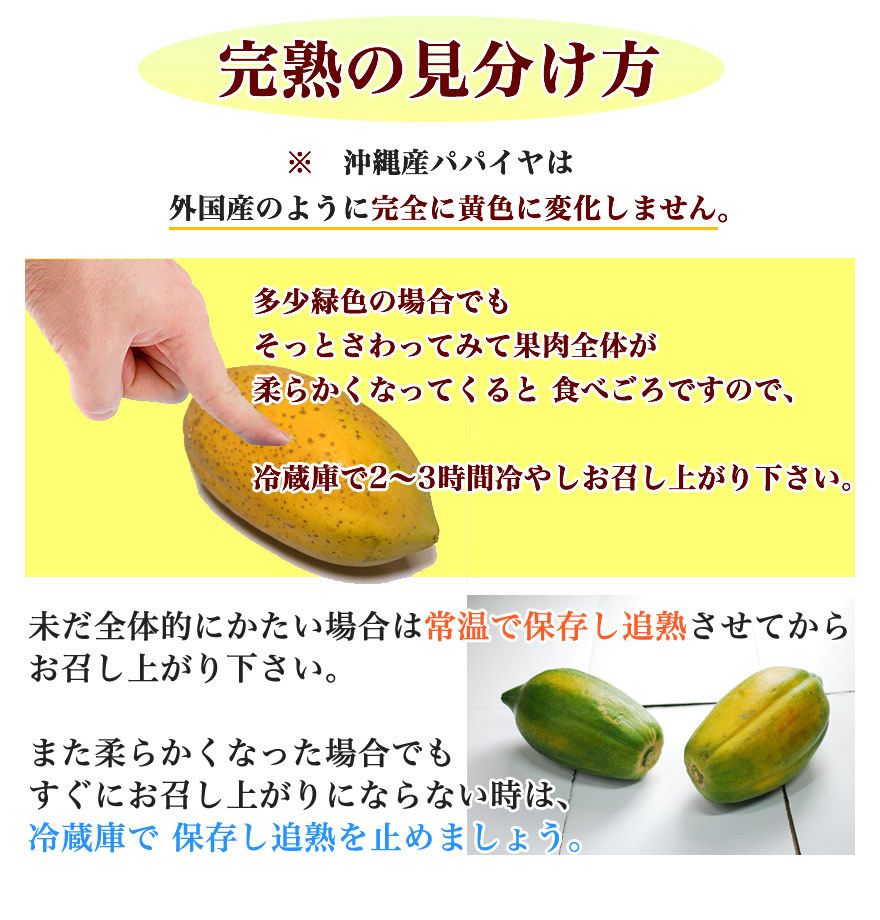 沖縄　フルーツパパイヤ