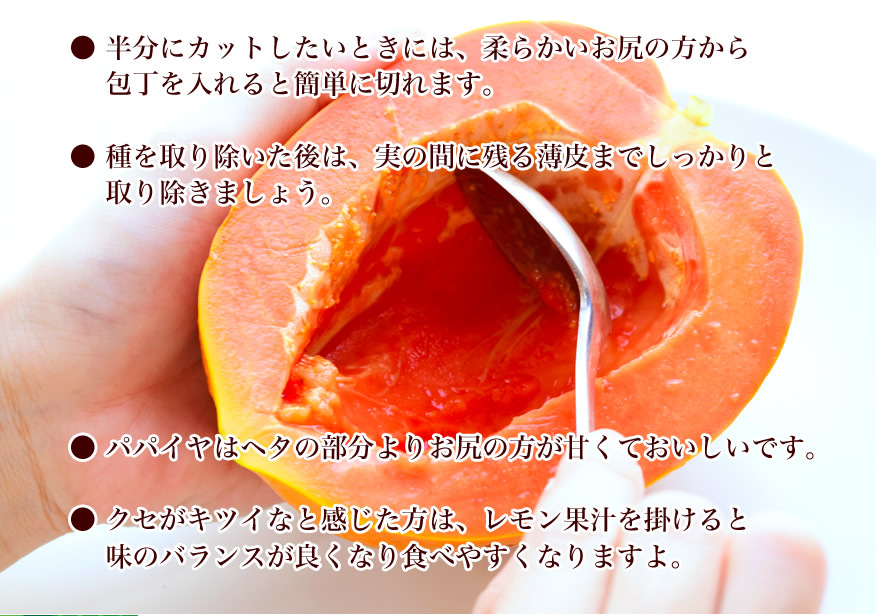 沖縄　フルーツパパイヤ