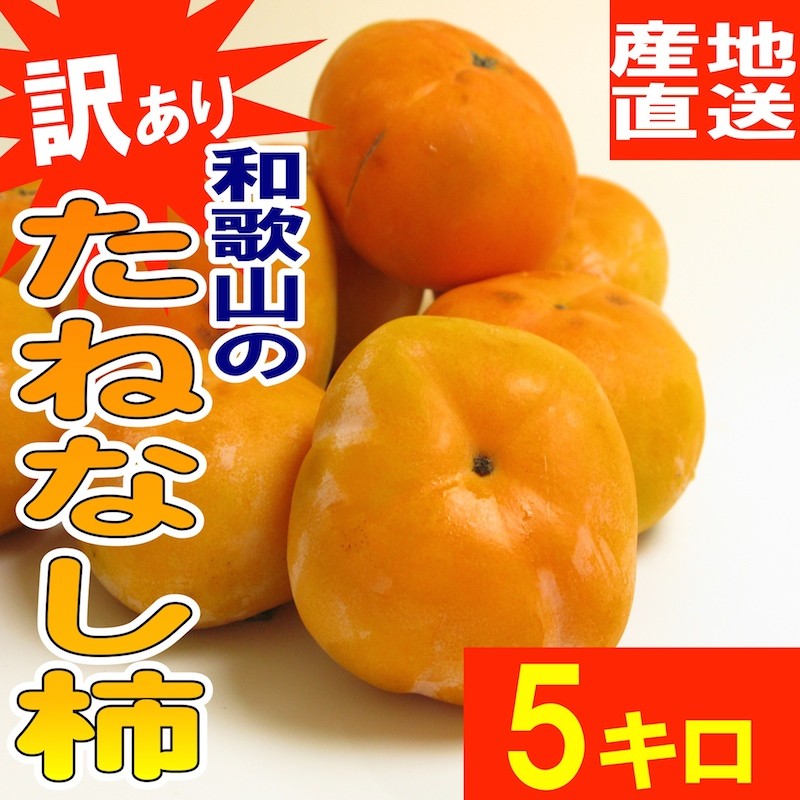 柿 たねなし 和歌山県産 訳あり たねなし柿 ５kg 【送料無料】ご自宅用