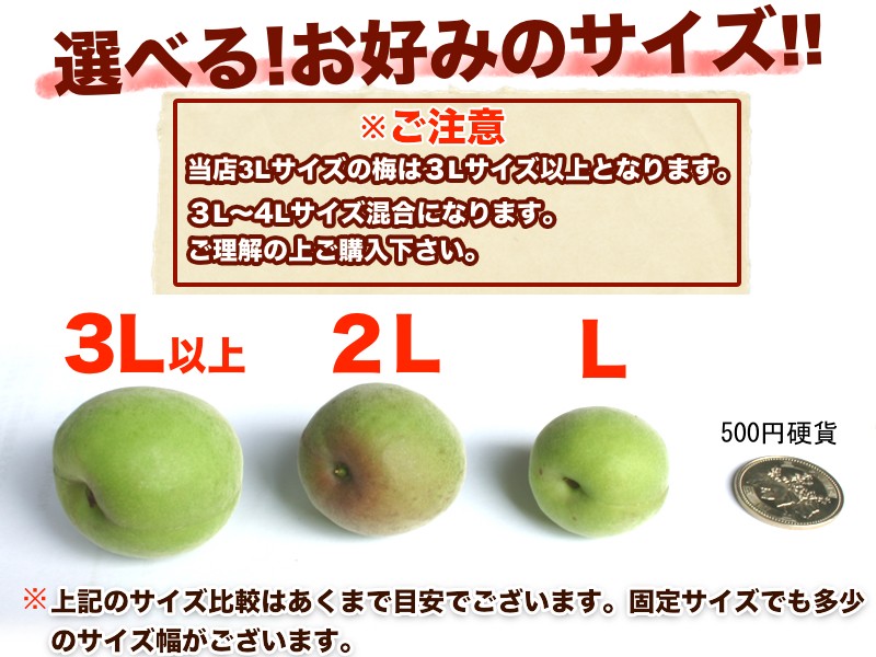 予約受付開始】和歌山県産 南高梅 完熟梅 秀品 5kg 3Lサイズ以上(3L