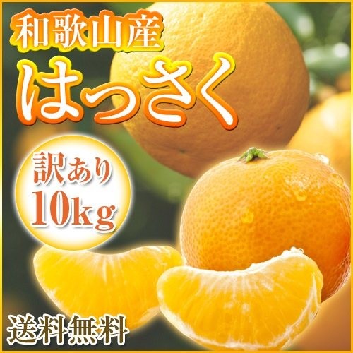 和歌山産 訳あり八朔 はっさく10kg 傷あり、サイズ不揃い、ご自宅用